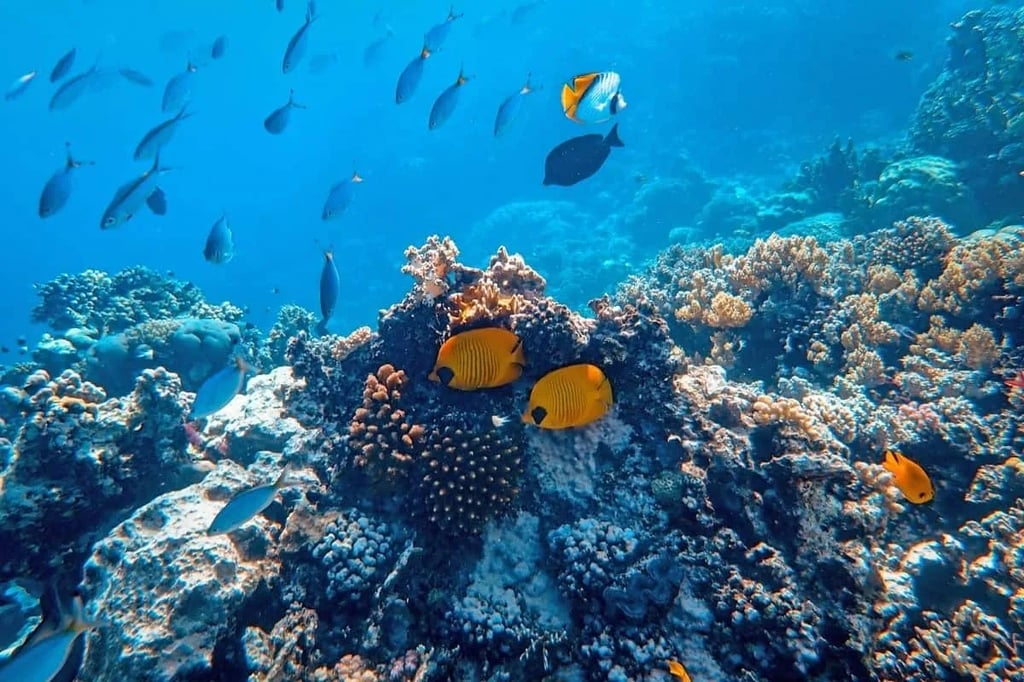 Top Five Movies Set Underwater Featured image illustrating the top five movies set underwater with themes of deep sea exploration and Earthly mystery