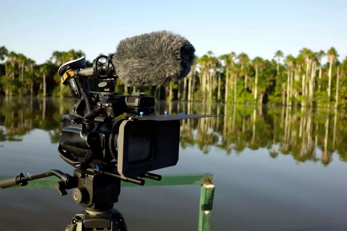 High-quality professional camera with microphone for outdoor wildlife videos.