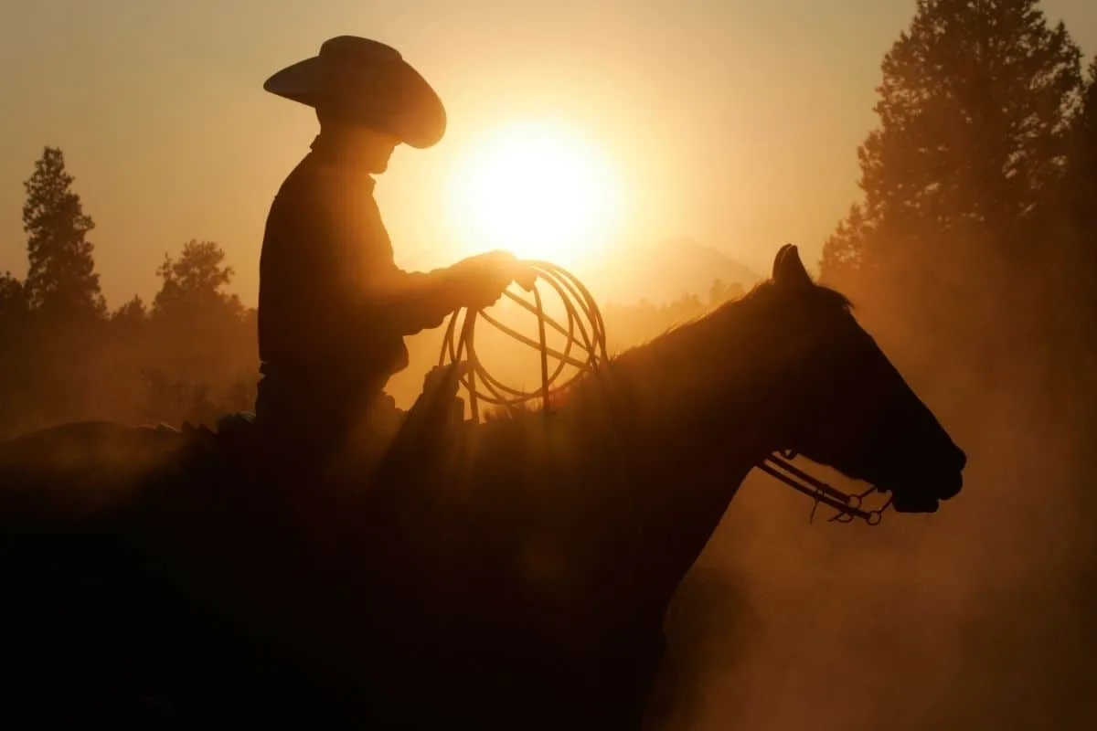 Silhouette of cowboy on horse at sunset, highlighting Western rodeo, lasso skills, and country lifestyle.