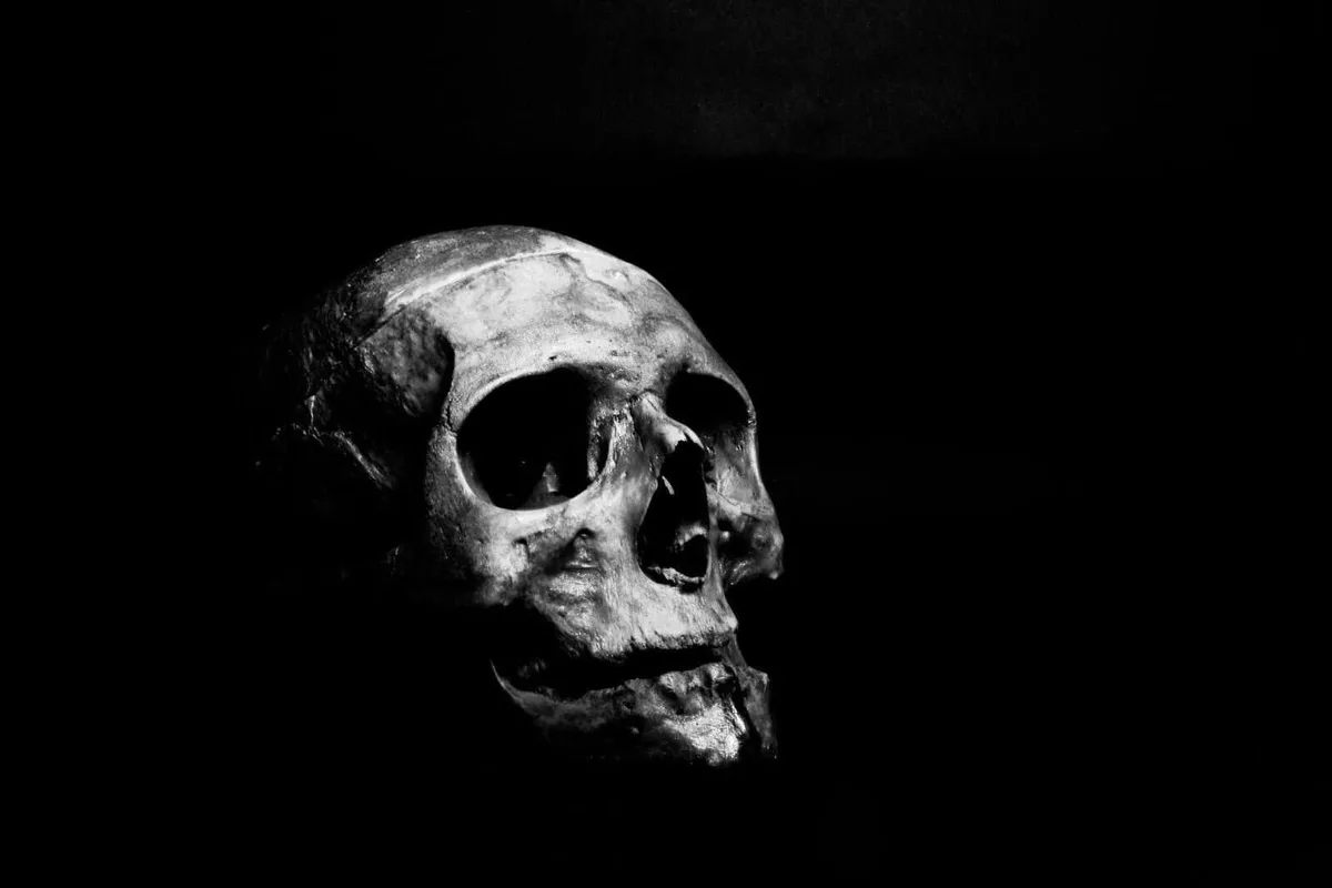Dark skull image with high contrast, eerie and haunting vibe, suitable for horror themes.