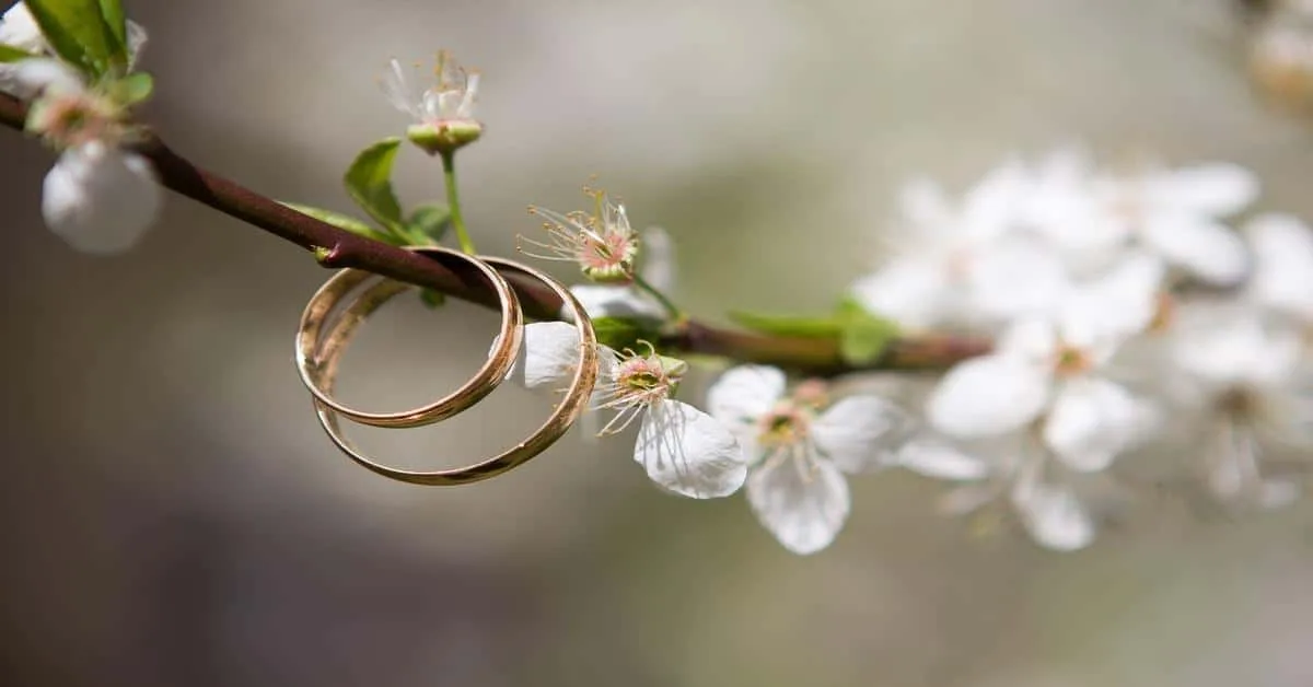 Close-up of wedding rings hanging on a flowering tree branch. Symbol of love and marriage.
